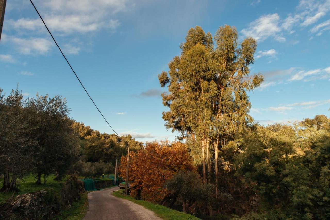 Azeite De Marvao, Olivoturismo Casa Venda Do Lagar Villa Eksteriør bilde